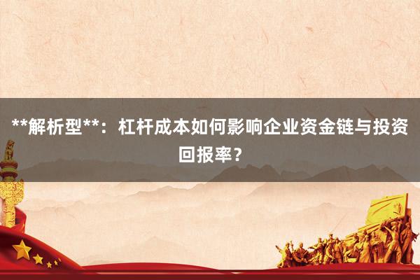 **解析型**：杠杆成本如何影响企业资金链与投资回报率？