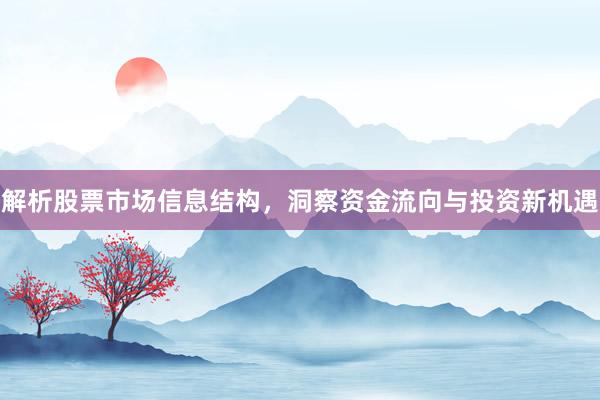 解析股票市场信息结构，洞察资金流向与投资新机遇