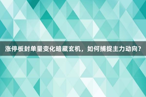 涨停板封单量变化暗藏玄机，如何捕捉主力动向？