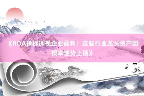 《ROA指标透视企业盈利：这些行业龙头资产回报率逆势上扬》
