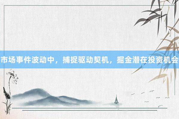 市场事件波动中，捕捉驱动契机，掘金潜在投资机会