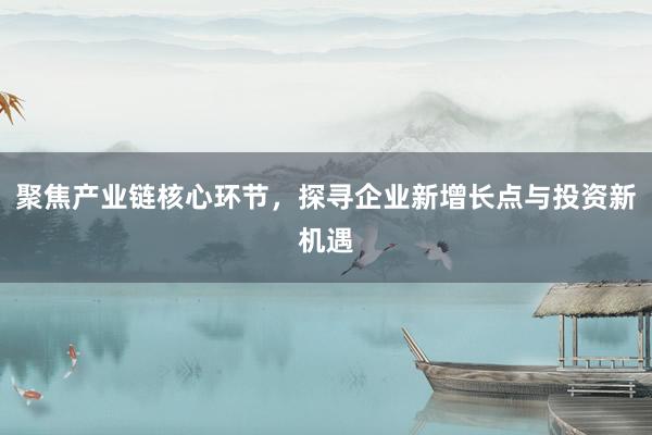 聚焦产业链核心环节，探寻企业新增长点与投资新机遇
