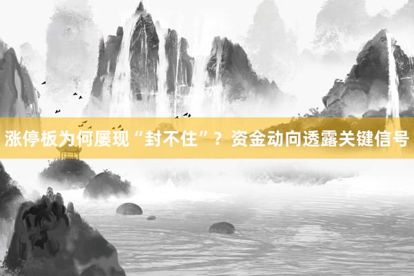 涨停板为何屡现“封不住”？资金动向透露关键信号