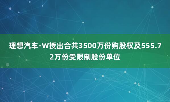 理想汽车-W授出合共3500万份购股权及555.72万份受限制股份单位