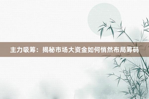 主力吸筹：揭秘市场大资金如何悄然布局筹码