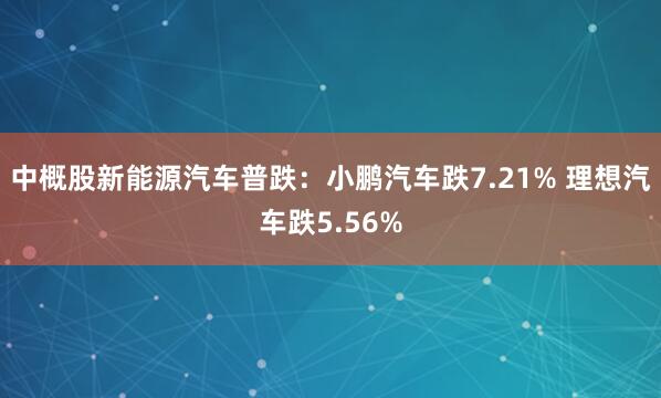 中概股新能源汽车普跌：小鹏汽车跌7.21% 理想汽车跌5.56%