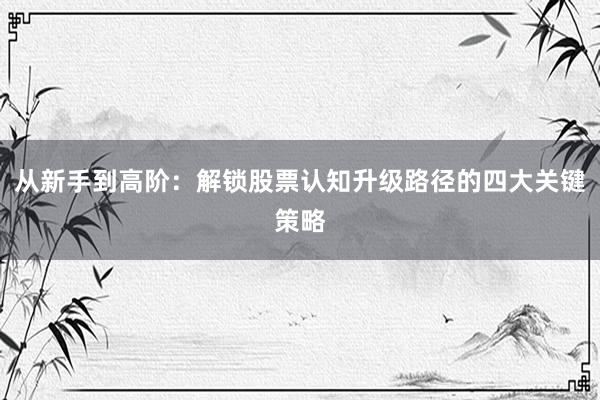 从新手到高阶：解锁股票认知升级路径的四大关键策略