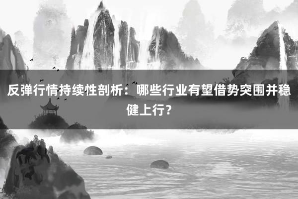 反弹行情持续性剖析：哪些行业有望借势突围并稳健上行？