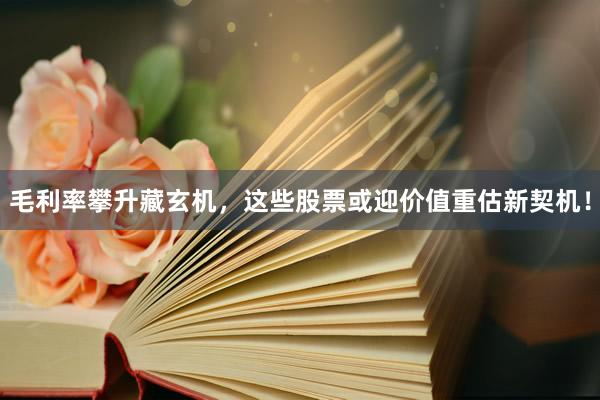 毛利率攀升藏玄机，这些股票或迎价值重估新契机！