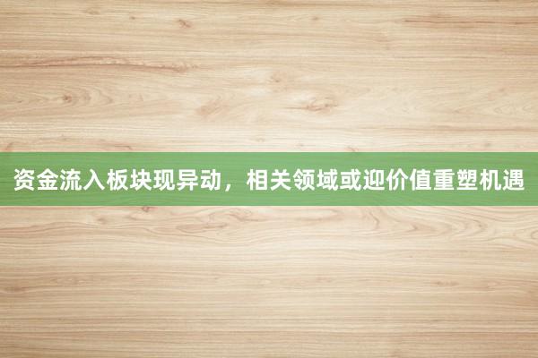 资金流入板块现异动，相关领域或迎价值重塑机遇