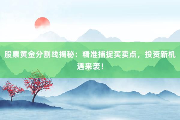 股票黄金分割线揭秘：精准捕捉买卖点，投资新机遇来袭！